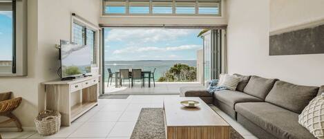 Télévision, cheminée, lecteur de DVD, chaîne hi-fi