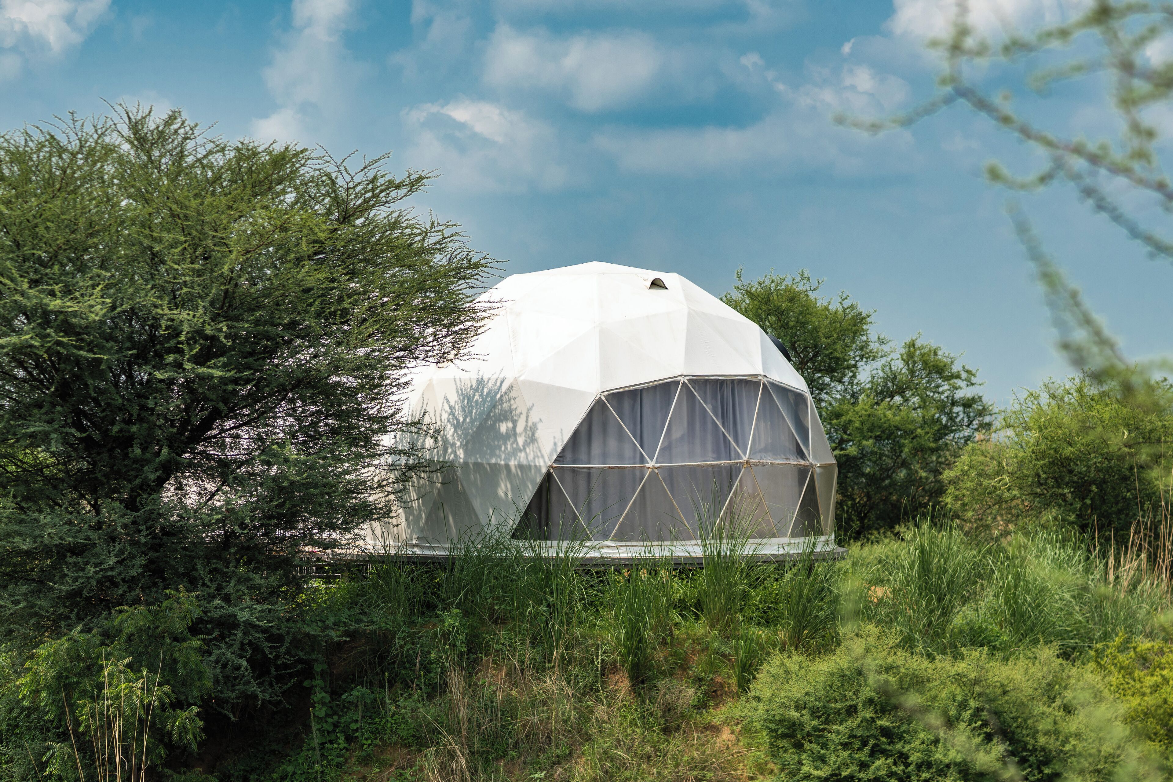 Una estructura en forma de cúpula geométrica rodeada de abundante vegetación.