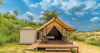 Teela The Glamping Resort