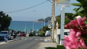 Eine Küstenstraße mit Fahrzeugen, einer Fußgängerüberweg und Hinweisschildern.
