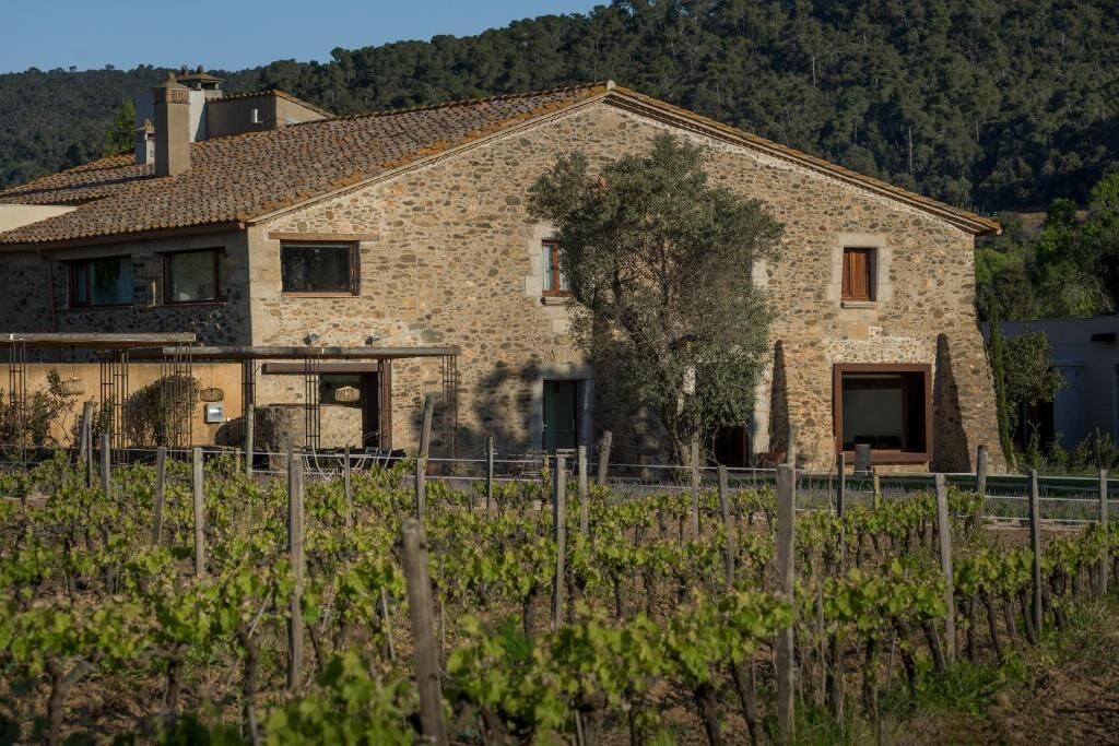Une maison en pierre avec un toit de tuiles, entourée d’un vignoble.