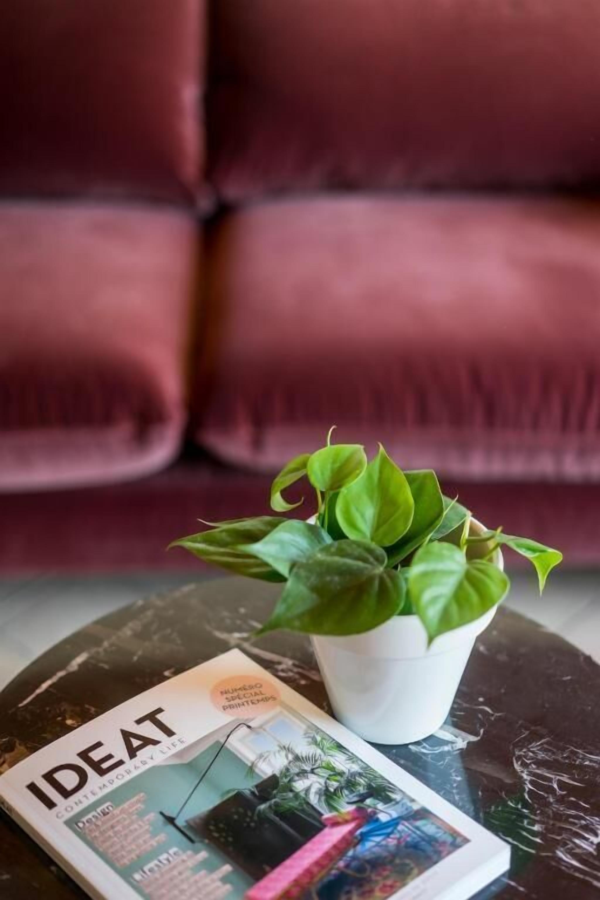 Una rivista intitolata 'IDEAT' su un tavolo con una pianta in vaso e un divano rosso sullo sfondo.