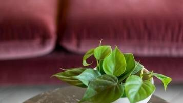 Una rivista intitolata 'IDEAT' su un tavolo con una pianta in vaso e un divano rosso sullo sfondo.