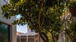 A wooden deck leading to a swimming pool, surrounded by lush greenery and a white wall. - SEA´YA Villa Areia with swimming pool and 5 minutes from the beach (Cascais)