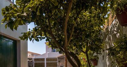 SEA´YA Villa Areia with swimming pool and 5 minutes from the beach