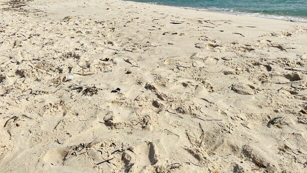 Ein sandiger Strand mit Fußabdrücken und Seetang, der zum Meer unter blauem Himmel führt.