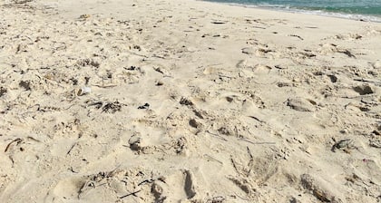 Gite Pieds dans l'Eau