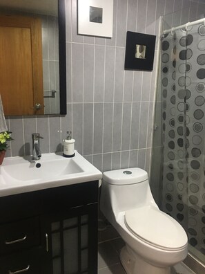 Shower, hair dryer, towels, soap
