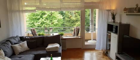 Una televisión de pantalla plana, un reproductor de DVD, libros