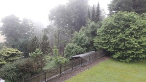 A train station with a covered waiting area, surrounded by dense trees and a grassy area.