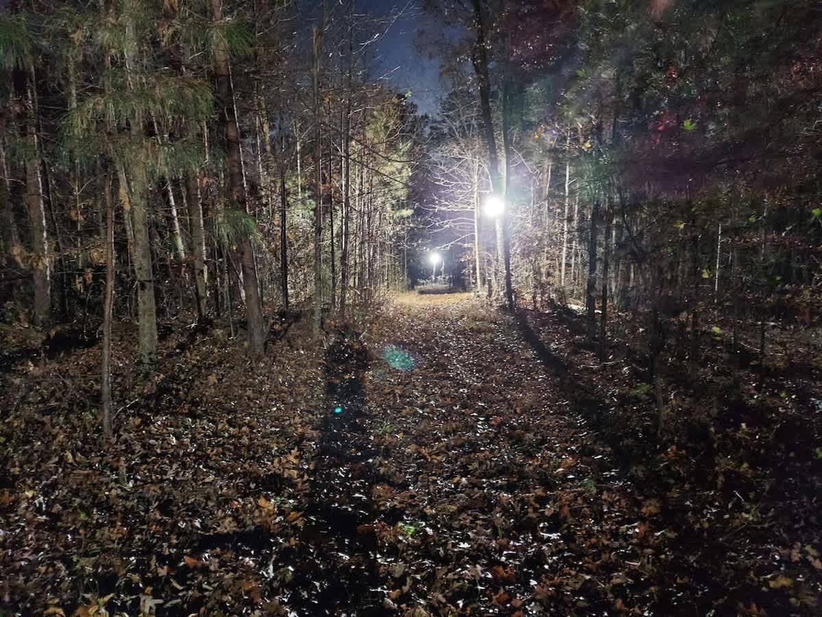 Sentiero boschivo alberato illuminato da un lampione.