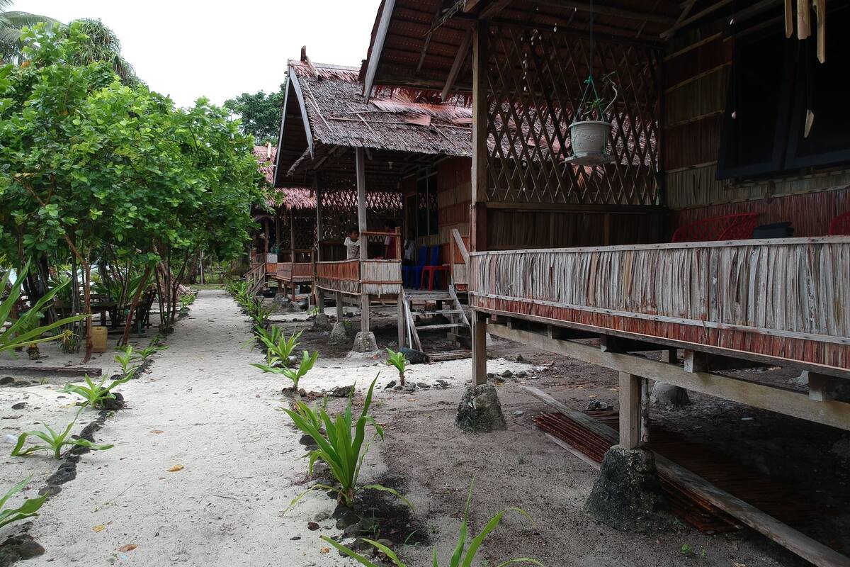 A traditional wooden house with a thatched roof, surrounded by lush greenery and a sandy path.