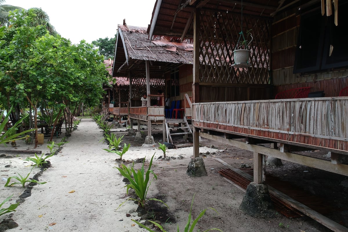 Terras
