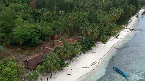 A coastal area with a sandy beach, palm trees, and a small building with a rusted roof. - marine homestay (Pulau Fam)