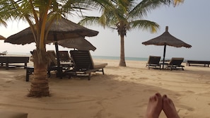 En la playa, camastros y toallas de playa 
