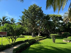 Property grounds