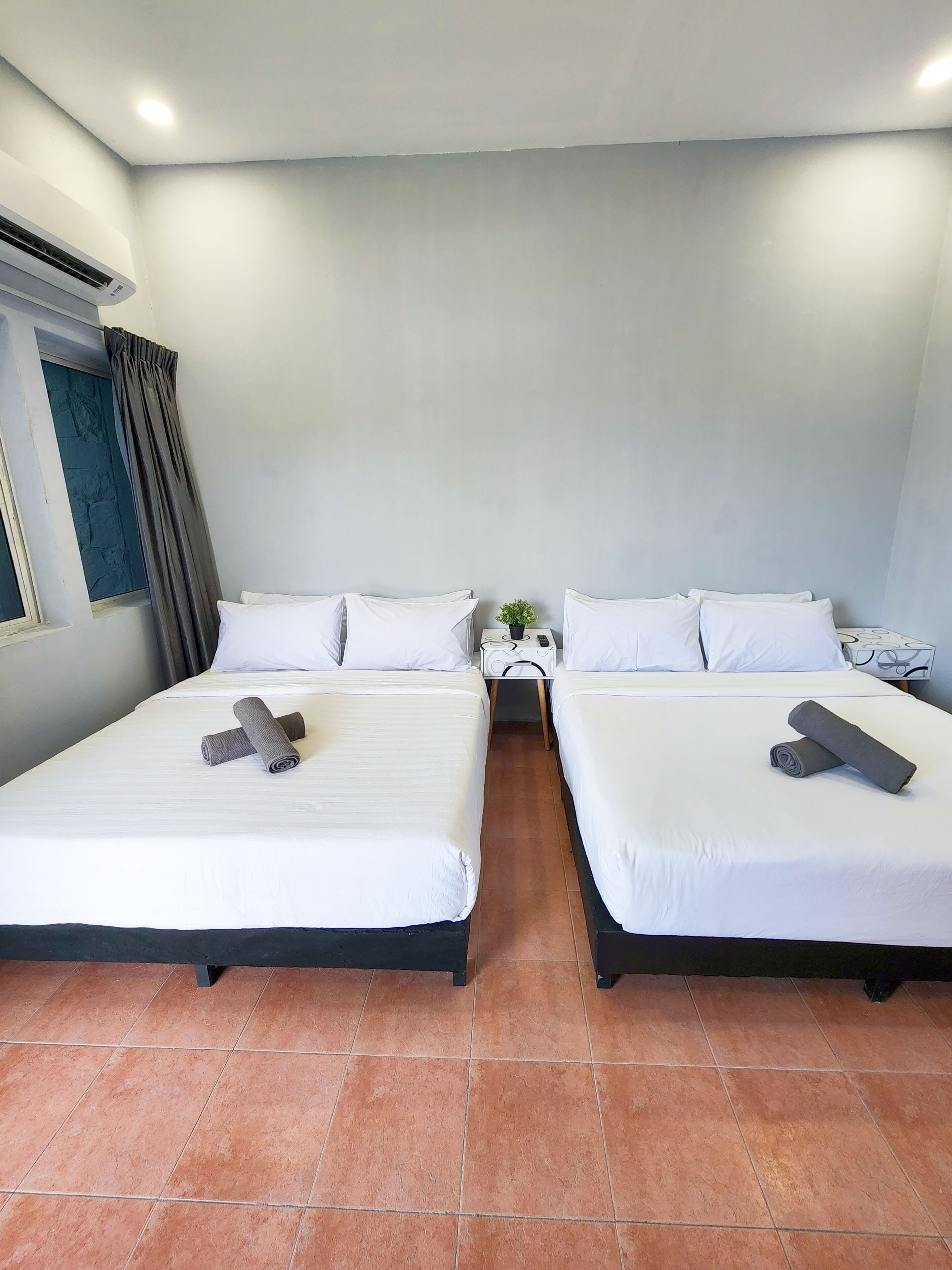 A hotel room with two beds, a window with curtains, a small table with a plant, and a nightstand with a phone.