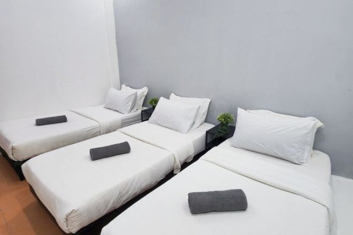 Una habitación con cuatro camas individuales en fila, cada una con una almohada y una pequeña planta.