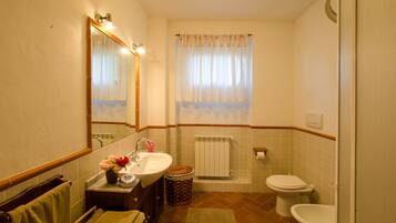 Combined shower/tub, hair dryer, bidet, towels