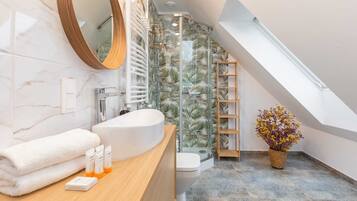 Shower, hair dryer, towels