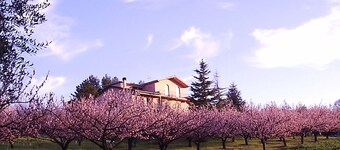 Aurora apartment, Charming Farmhouse with Private Pool and Private Outside Area