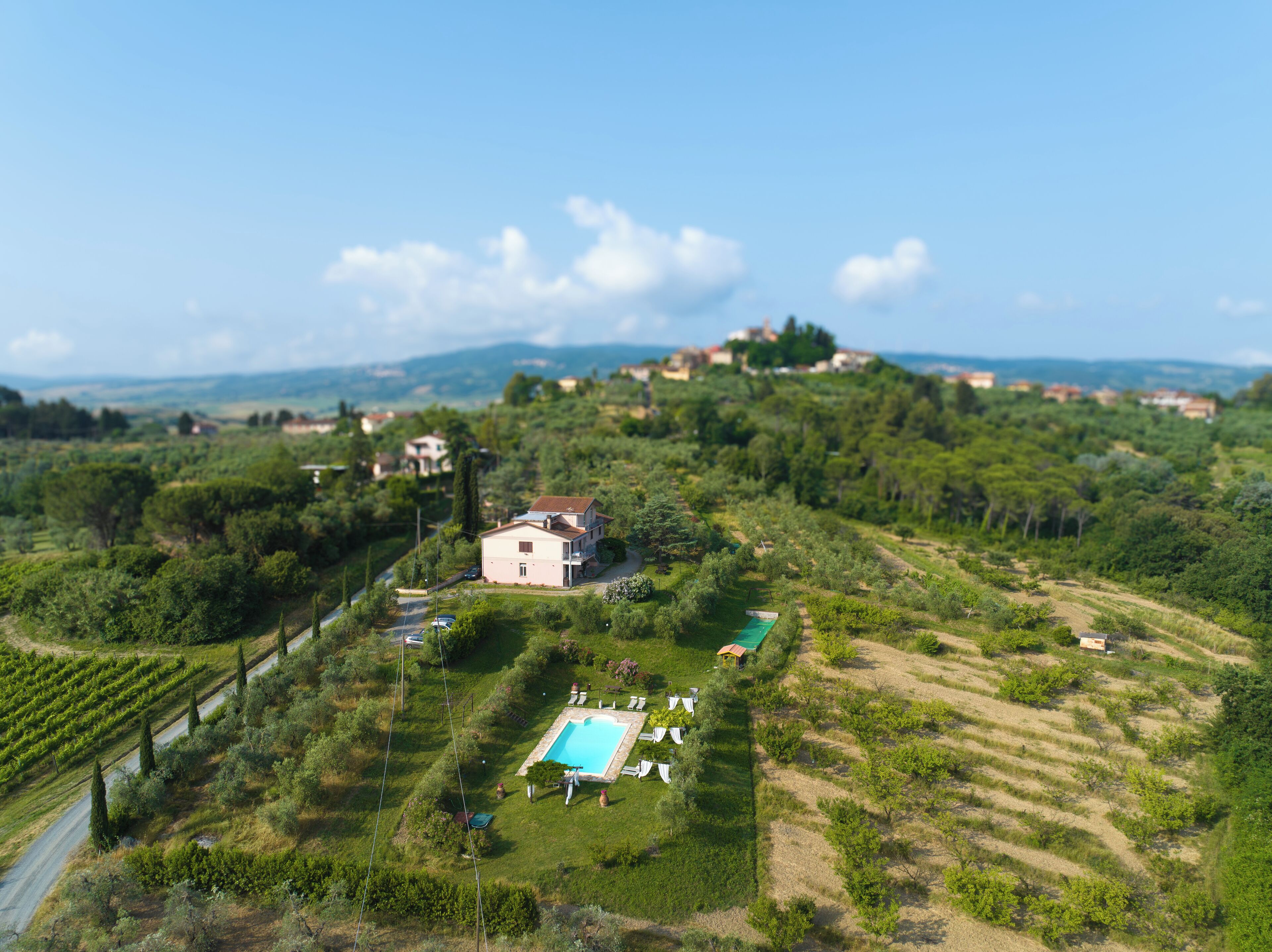 A villa with a swimming pool, surrounded by lush greenery and vineyards.