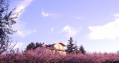 Meriggio apartment, Charming Farmhouse Private Pool and Private Outside Area