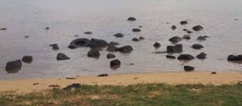 Charming cottage located 1 minute from the beach