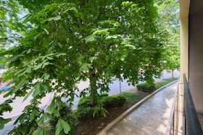 Stroll through a serene outdoor space with a shaded pathway and mature tree, surrounded by a modern building.