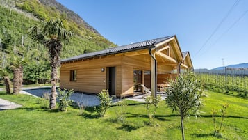 Esterni