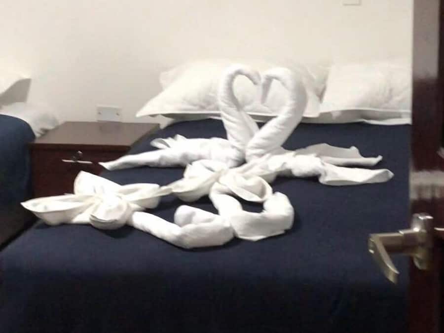 Volcano Altar | Down comforters, Select Comfort beds, in-room safe