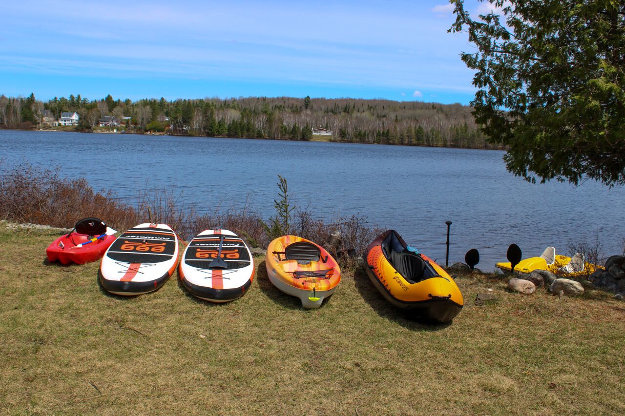 A row of kayaks lined up on a grassy lakeside.