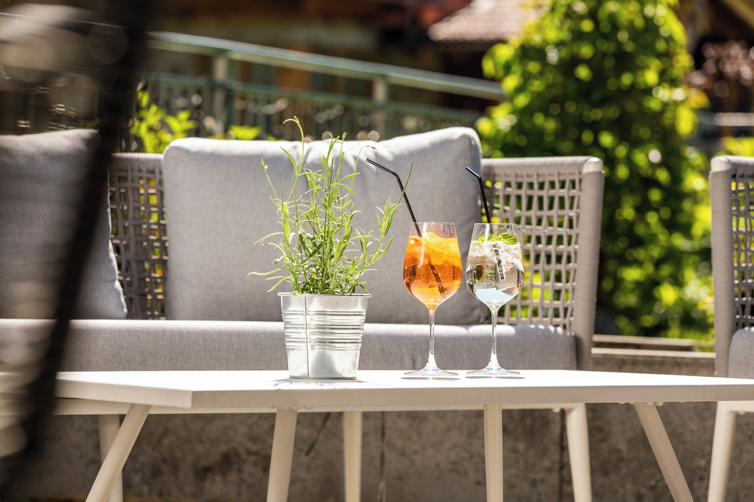 A table with two drinks and a potted plant.