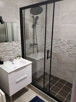 Shower, towels, toilet paper