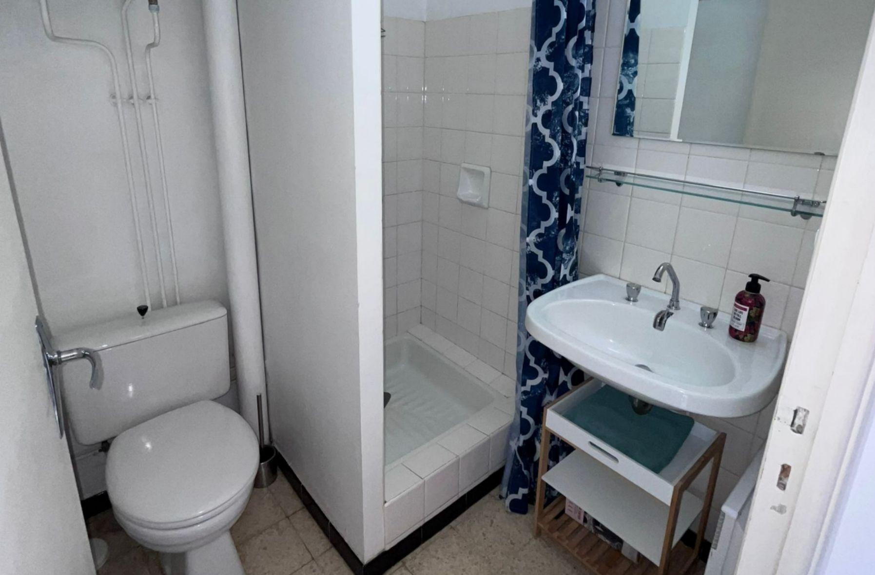 Ein Badezimmer mit Toilette, Dusche und Waschbecken mit Spiegel darüber.