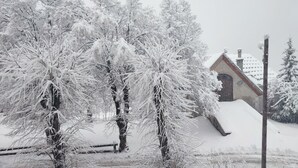 Schneebedeckte Landschaft mit Bäumen und einem Gebäude.