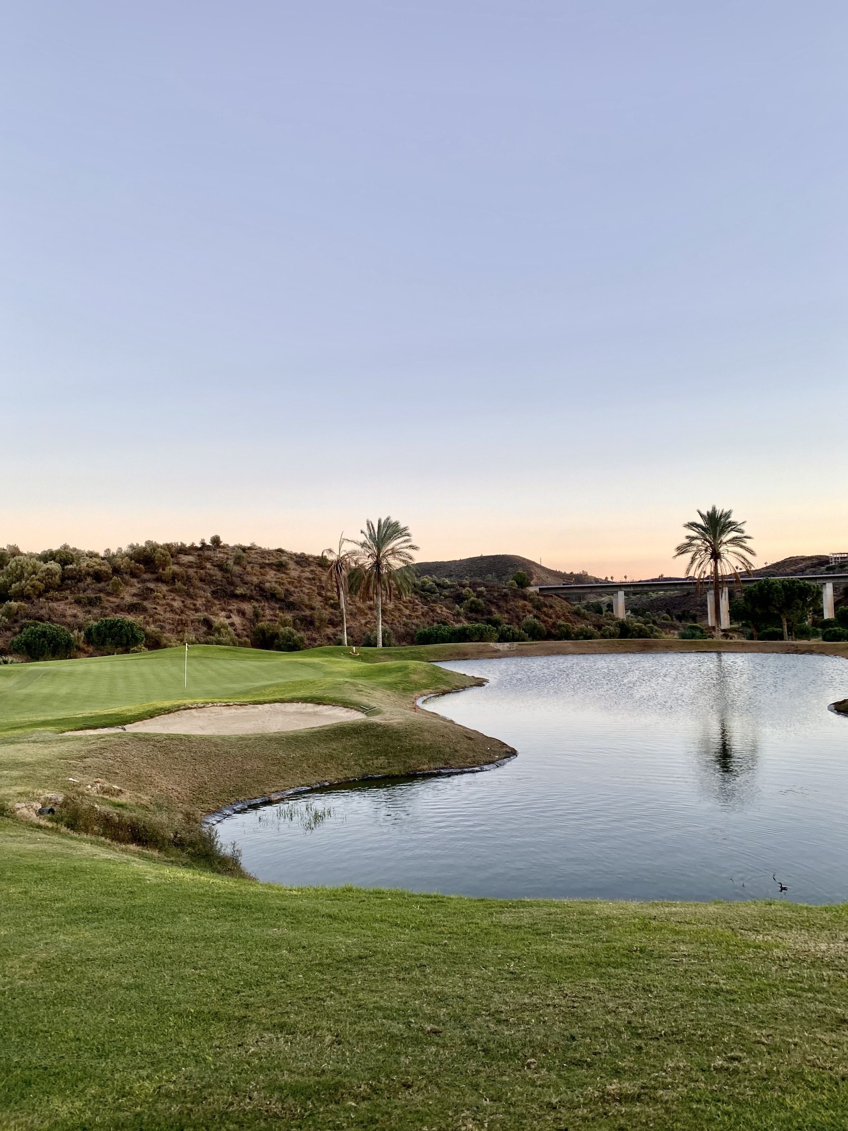 A golf course with a pond, palm trees, and a bridge in the background.