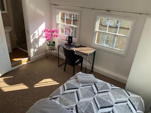 Cozy retreat with a bed, desk area, and potted plant.