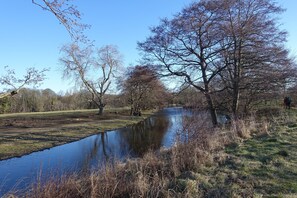 Un río bordeado por árboles y orillas cubiertas de hierba.