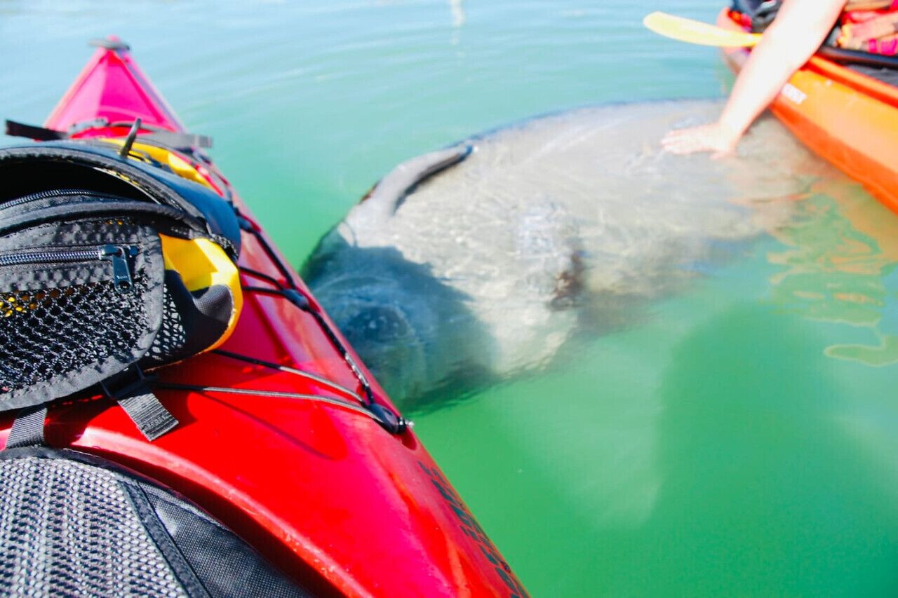 Un kayak rojo con un casco negro y amarillo sobre el asiento.
