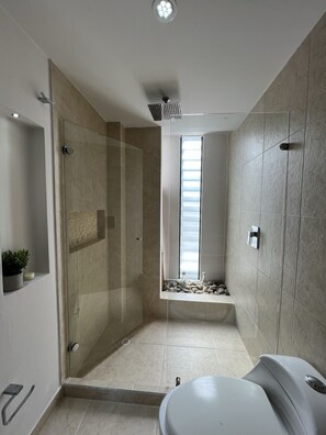 Combined shower/bathtub, towels