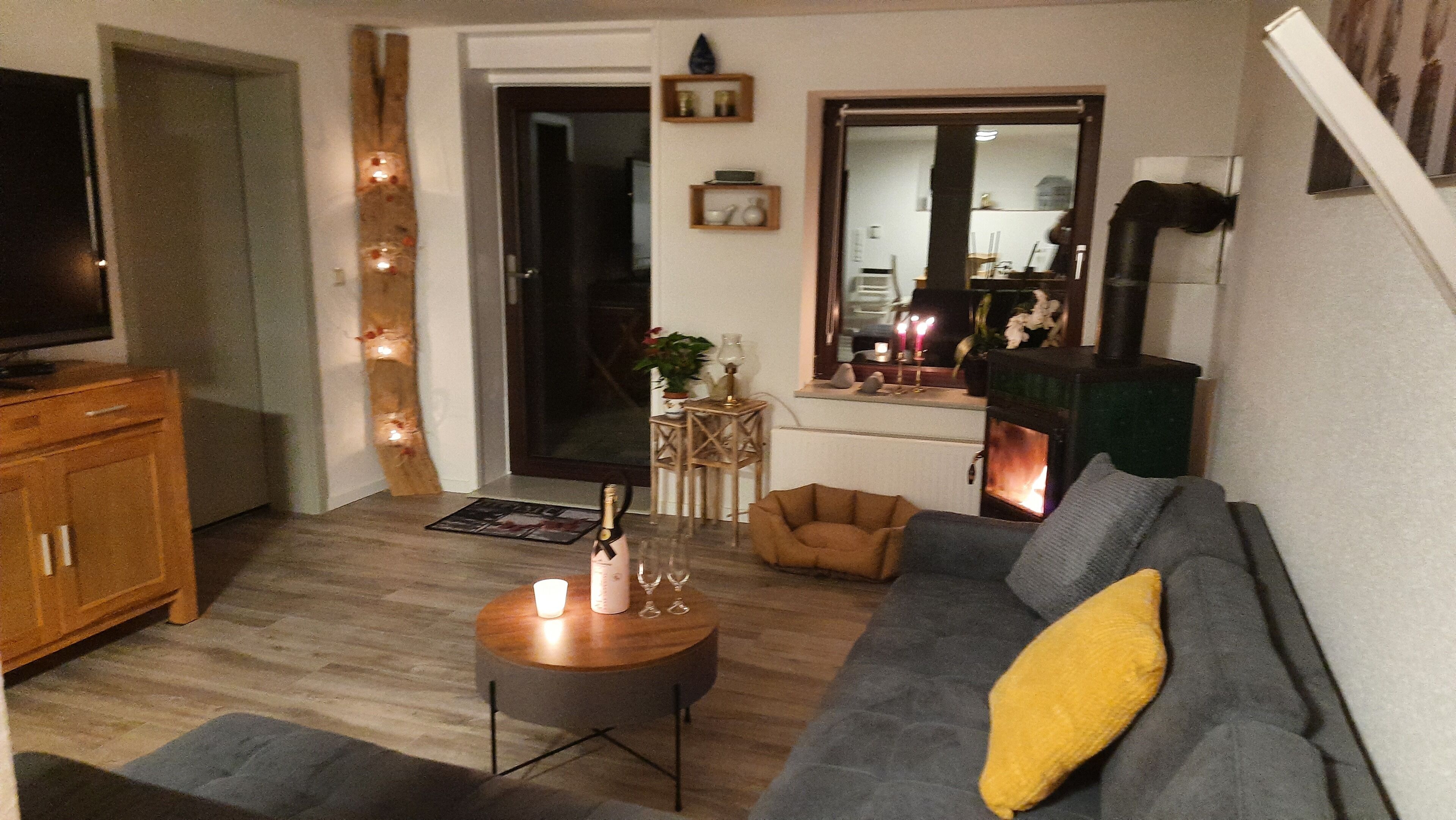 TV connectée, cheminée, lecteur de DVD, livres