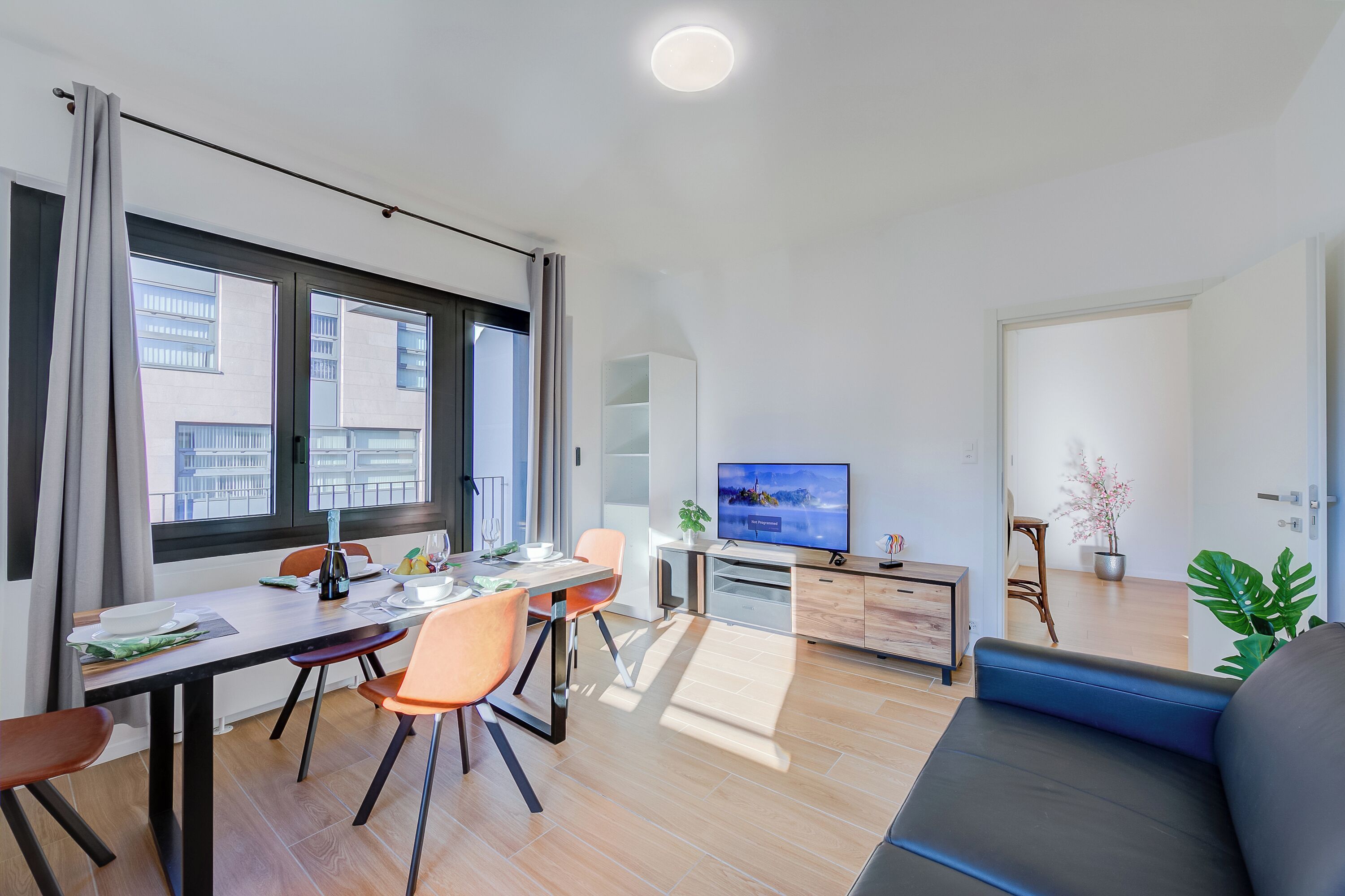 ファミリー アパートメント ベッドルーム (複数) (Boutique Apartment 12) | リビング エリア | 21 インチのテレビ (デジタル放送視聴可)