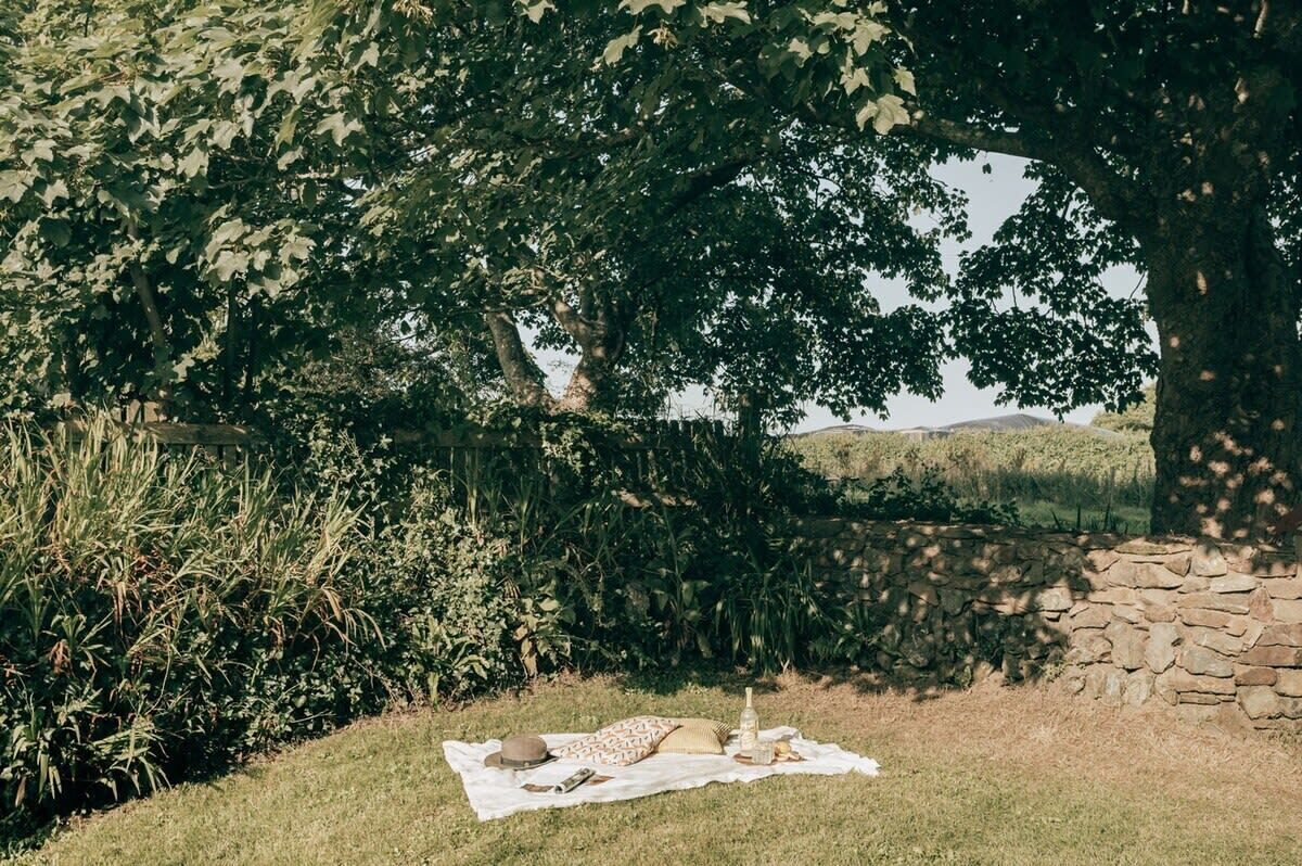 Een picknick onder een boom, met een deken, eten en een fles.