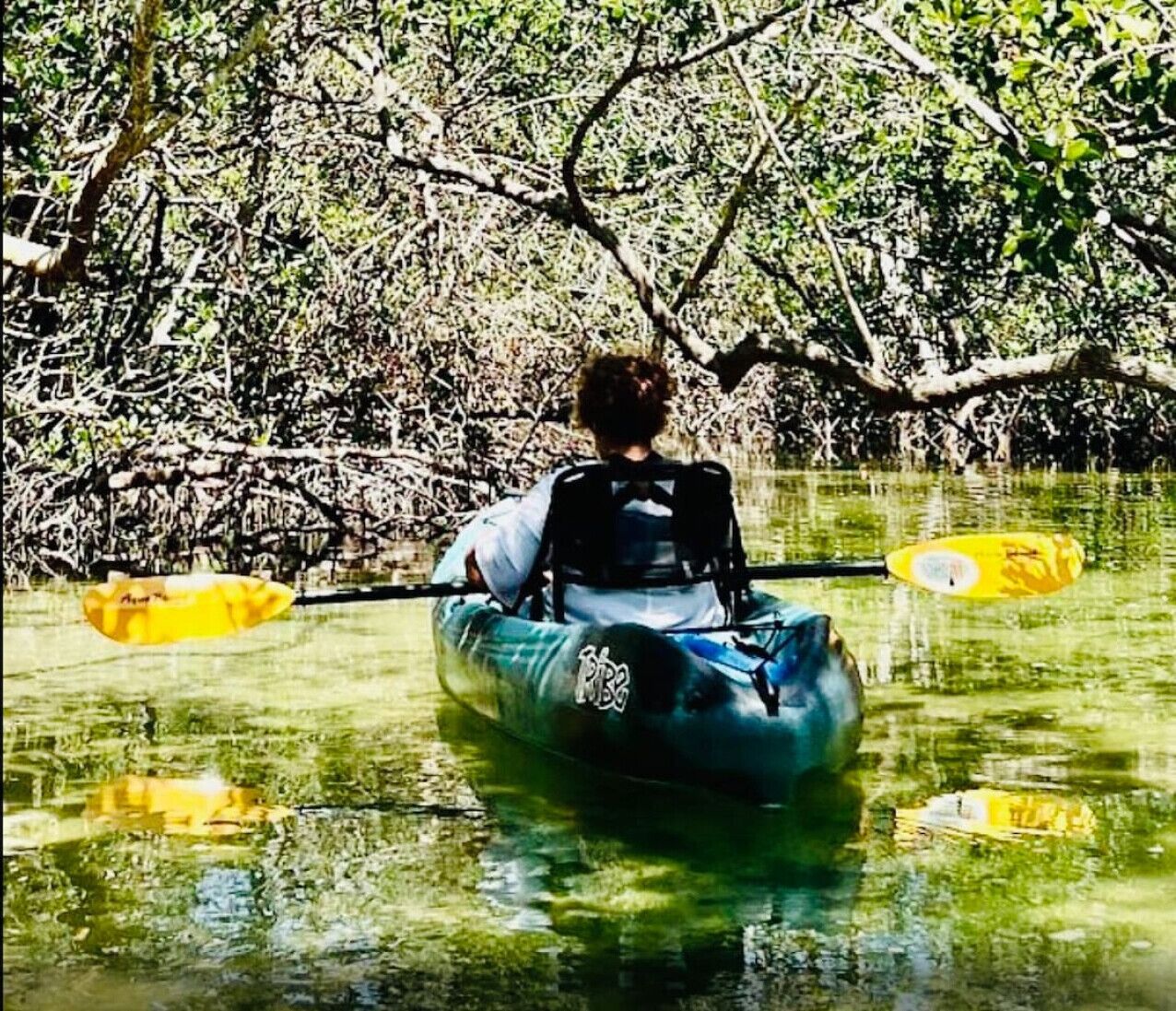 Una persona haciendo kayak en un río rodeado de árboles frondosos.