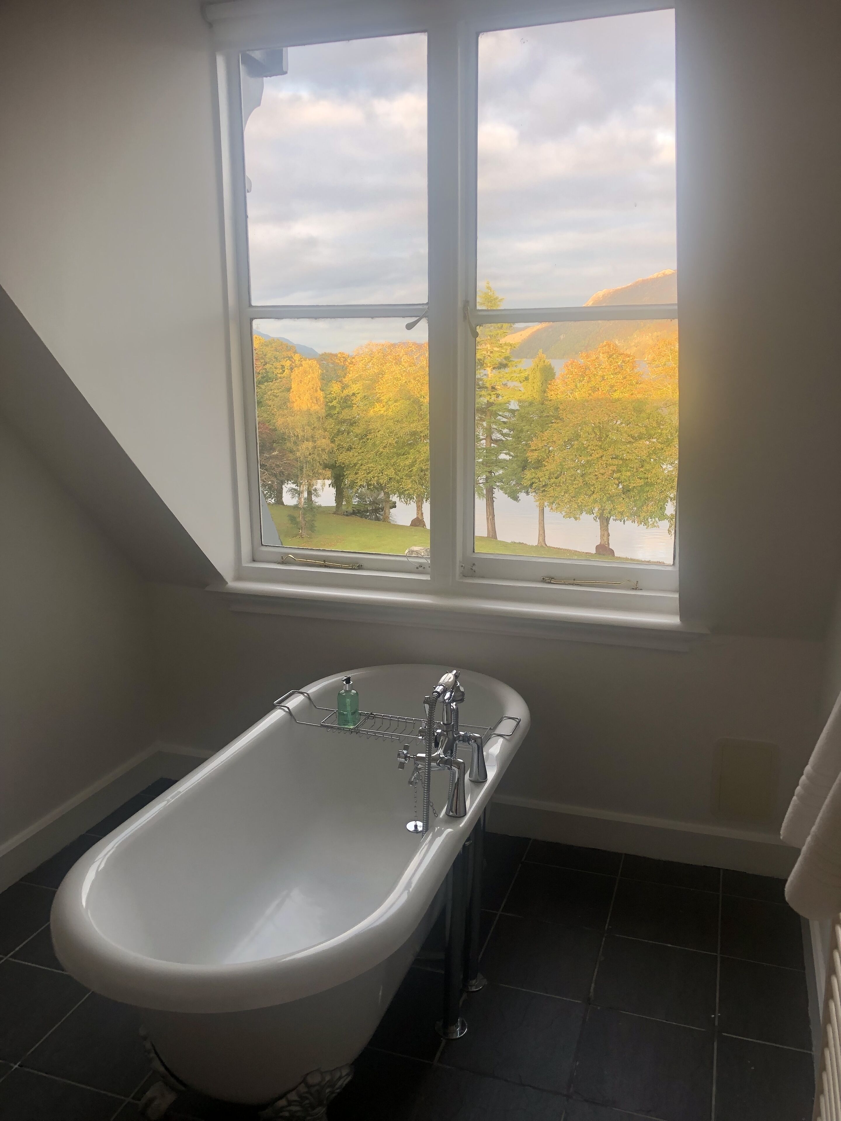 Bathtub, hair dryer, bidet, towels