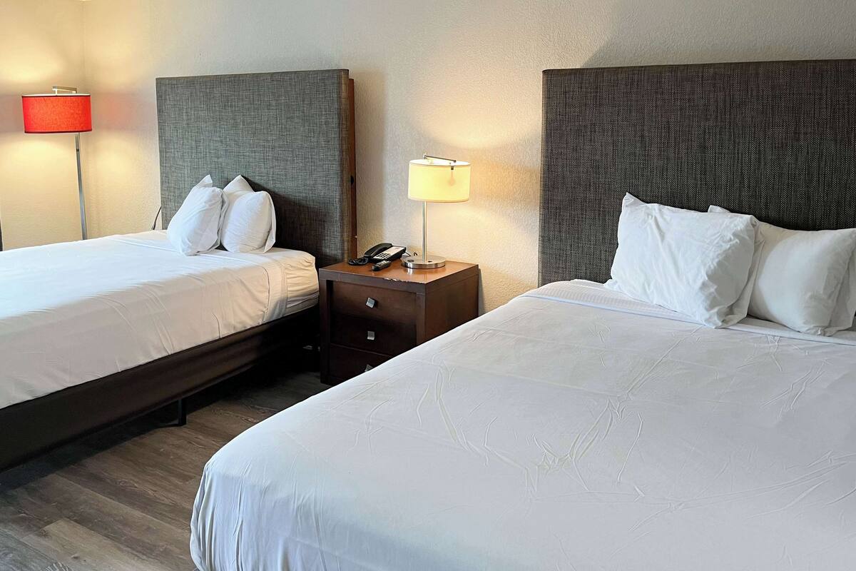 A hotel room with two beds, each with white linens and pillows, a bedside table with a lamp, and a phone.