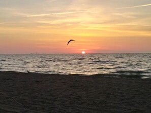 On the beach