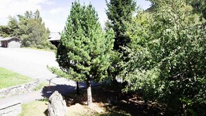 Eine Wohngegend mit einer Steinmauer, einem gepflasterten Weg und mehreren Nadelbäumen.