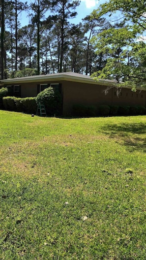 A building with a flat roof and a small front yard with a lawn and a ladder. - Private, Quiet Ap. “Morning Singing Birds”, close to Phoebe (Albany)